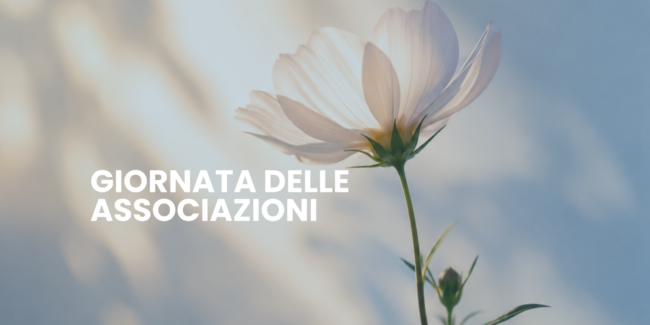 banner news sito fabio sassi